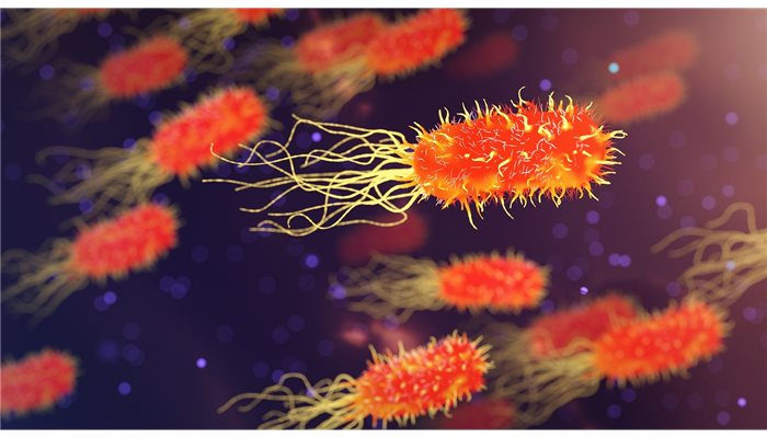Črevné baktérie a histamín